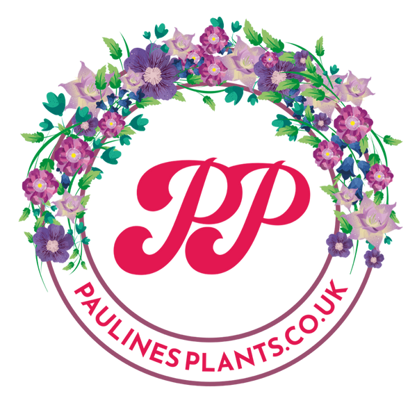 Pauline's Plants