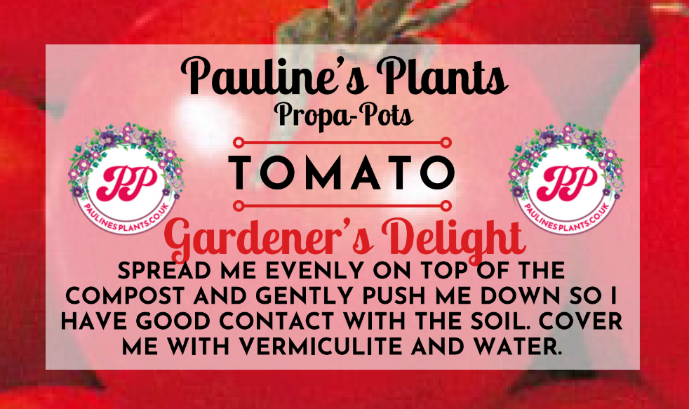 Propa-pot - Grow your own Tomatoes