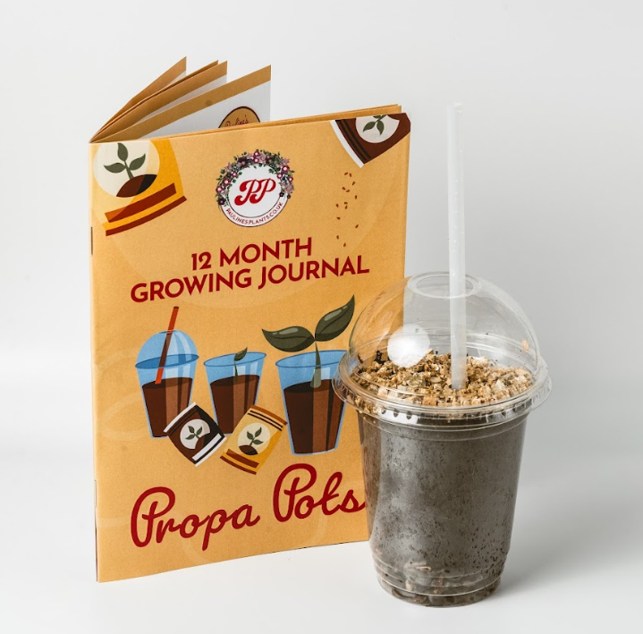 Propa-pot - Grow your own Zinnia flowers for bees