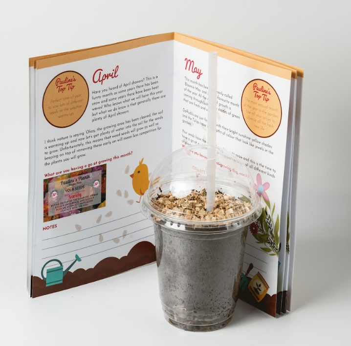 Propa-pot - Grow your own Zinnia flowers for bees