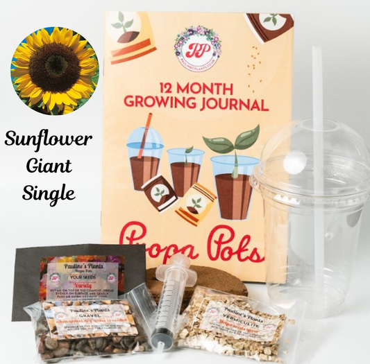 Propa-pot - Grow your own Giant Sunflowers