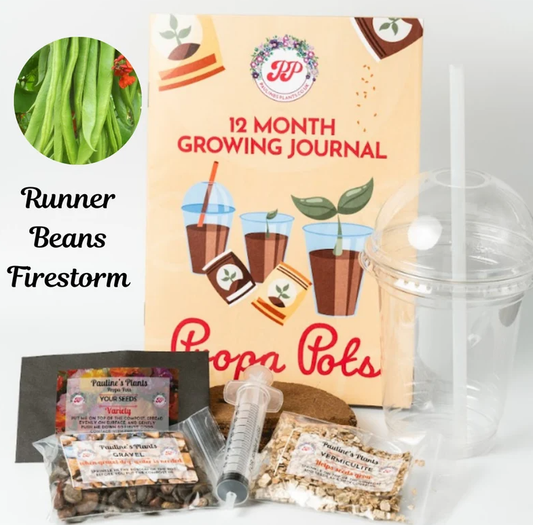 Propa-pot - Grow your own Runner Beans