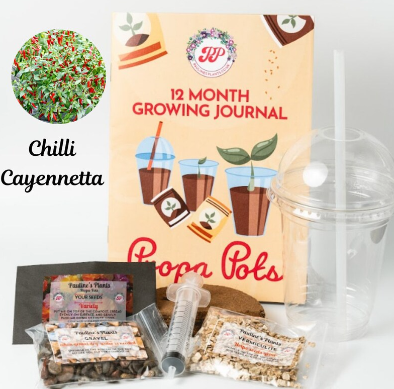 Propa-pot - Grow your own Cayannetta Chilli plants - Sow in February