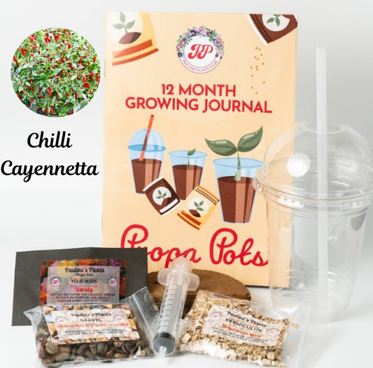 Propa-pot - Grow your own Cayannetta Chilli plants - Sow in February