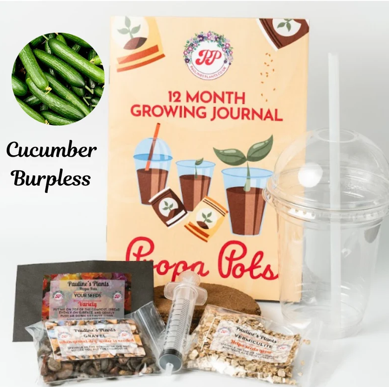 Propa-pot - Grow your own Cucumber plants