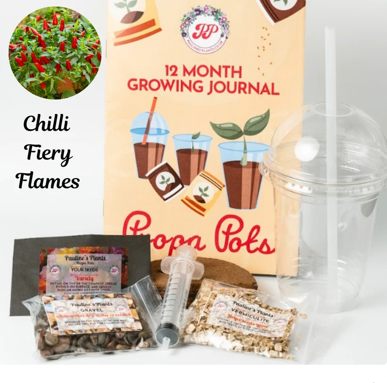 Propa-pot - Grow your own Firey Flames Chilli plants