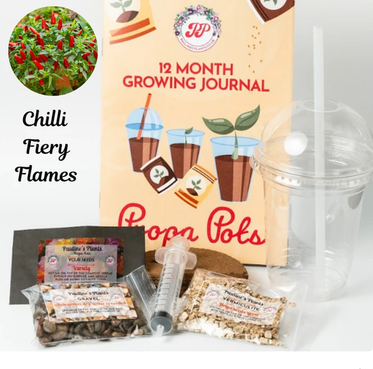 Propa-pot - Grow your own Firey Flames Chilli plants