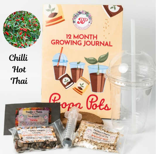 Propa-pot - Grow your own Hot Thai Chilli plants
