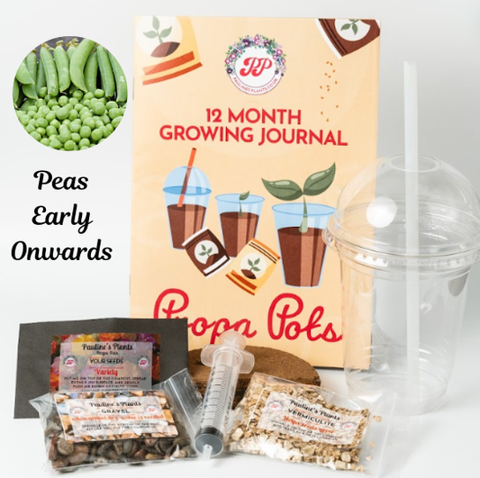 Propa-pot - Grow your own Pea plants