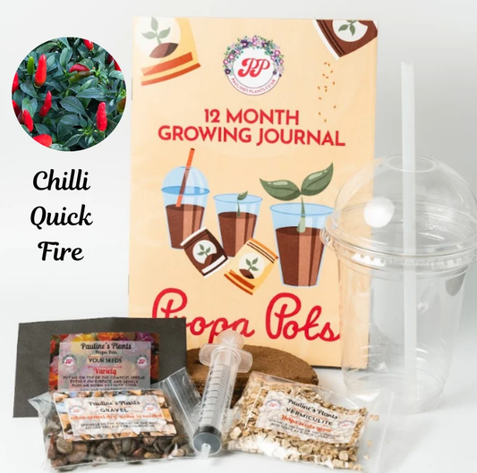 Propa-pot - Grow your own Quick Fire Chilli plants