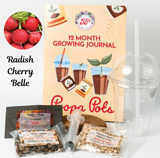 Propa-pot - Grow your own Radish