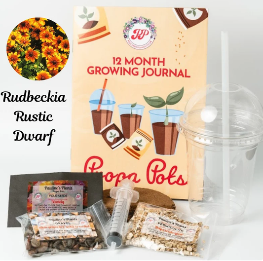 Propa-pot - Grow your own Rudbeckia flowers for bees