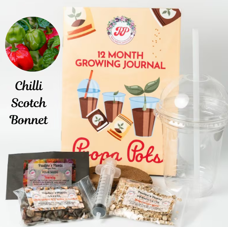 Propa-pot - Grow your own Scotch Bonnet Chilli plants