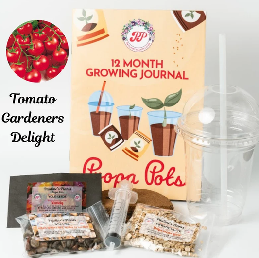 Propa-pot - Grow your own Tomatoes