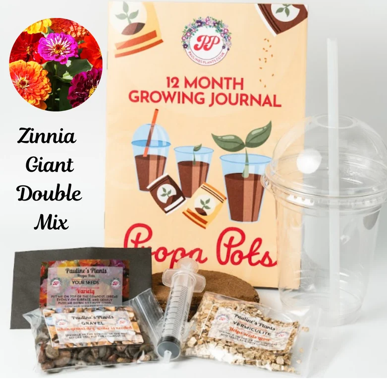 Propa-pot - Grow your own Zinnia flowers for bees