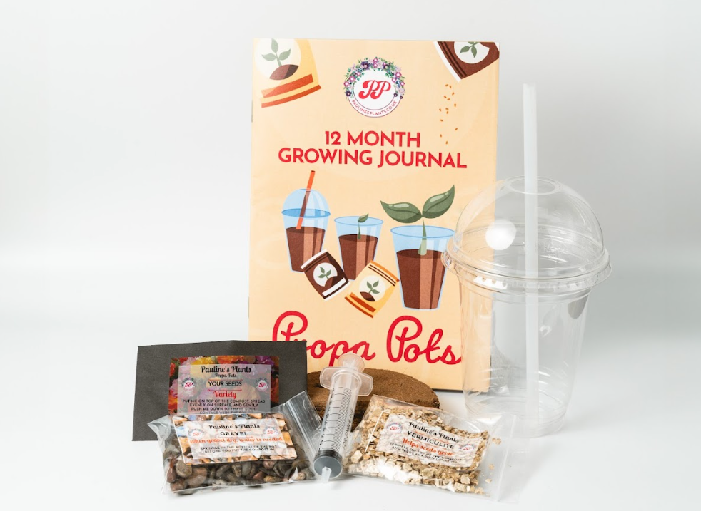 Propa-pot - Grow your own Giant Sunflowers