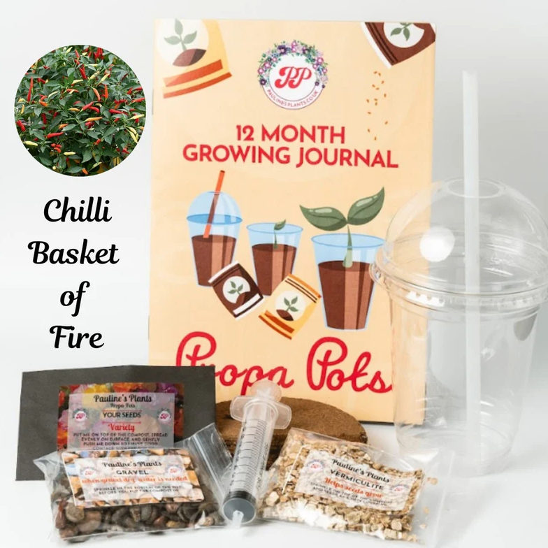 Propa-pot - Grow your own Basket of Fire Chilli plants